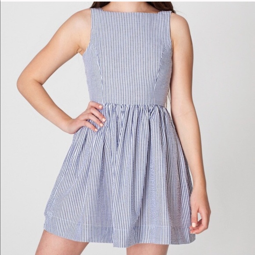American apparel Blue Strip Dress